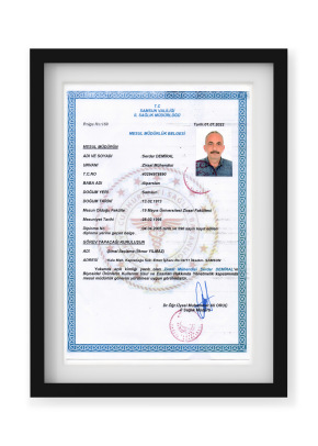 Mesul Müdürlük Belgesi