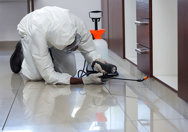 Kapalı alan ilaçlama hizmeti